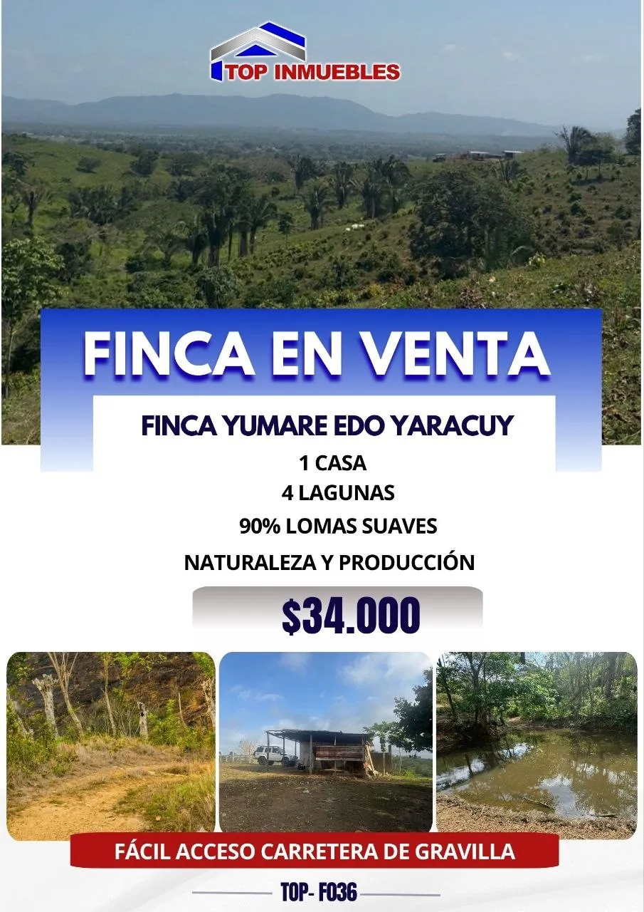 Terreno en Venta en Yumare, Edo. Yaracuy — 1 hab 370000m² — USD 34,000