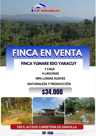 Terreno en Yumare, Edo. Yaracuy
