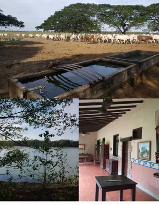 Terreno en Barinas