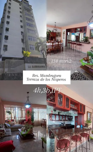 Apartamento en Terraza de los Nisperos