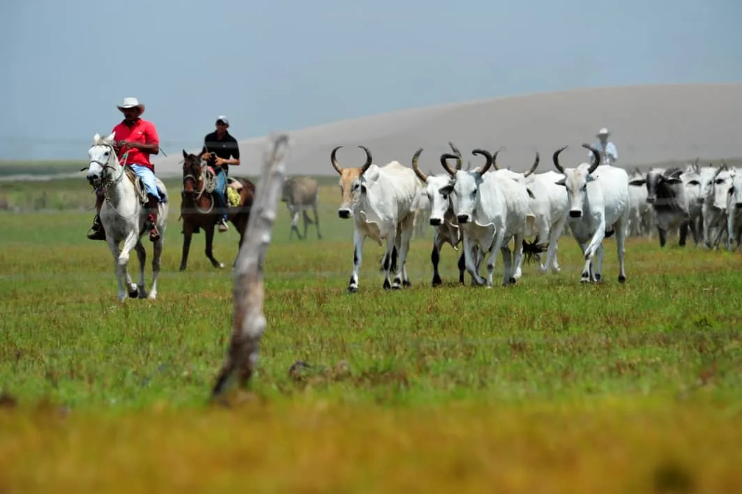 Terreno en Venta en Apure 420000000m² — Precio a consultar