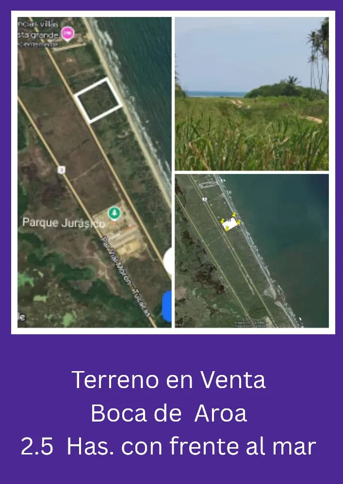 Terreno en Venta en Boca de Aroa 24726m² — USD 600,000