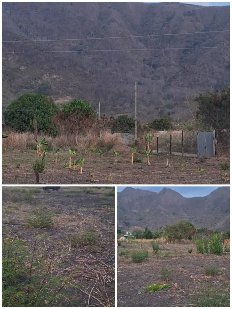 Terreno en Venta en San Diego Maco Maco 2310m² — USD 15,000