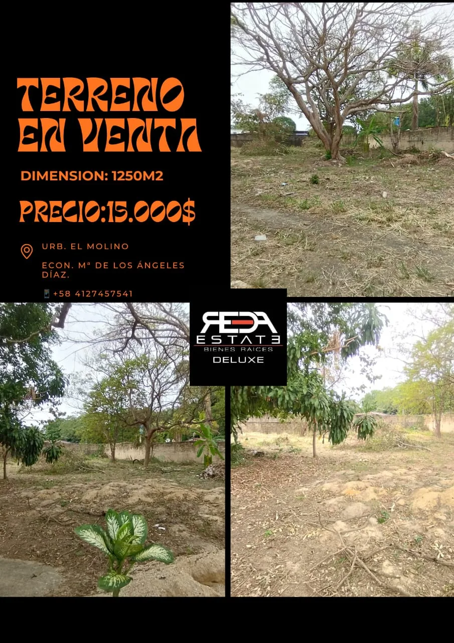 Terreno en Venta en Urbanización El Molino 1250m² — USD 15,000