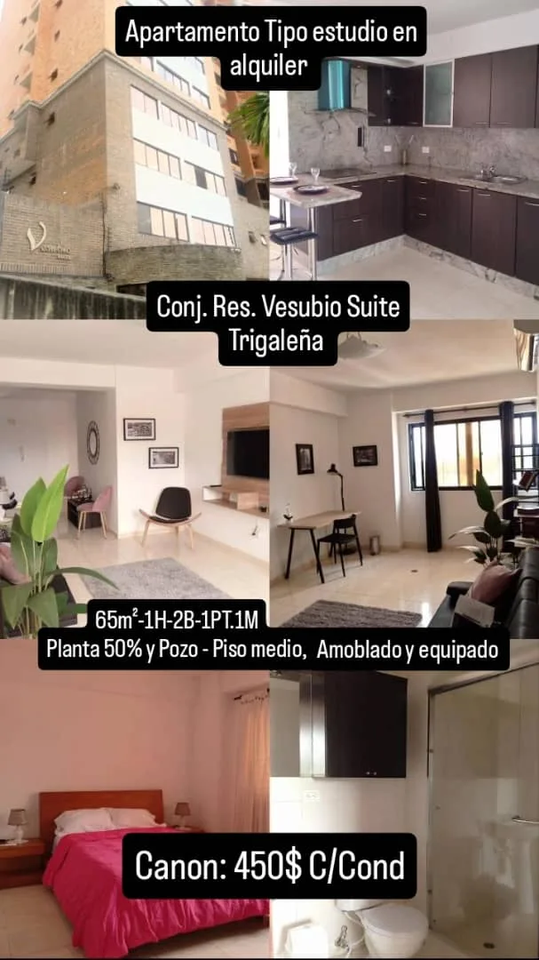Apartamento en Alquiler en Conj. Res. Vesubio Suite, Trigaleña Valencia — 1 hab 65m² — USD 450