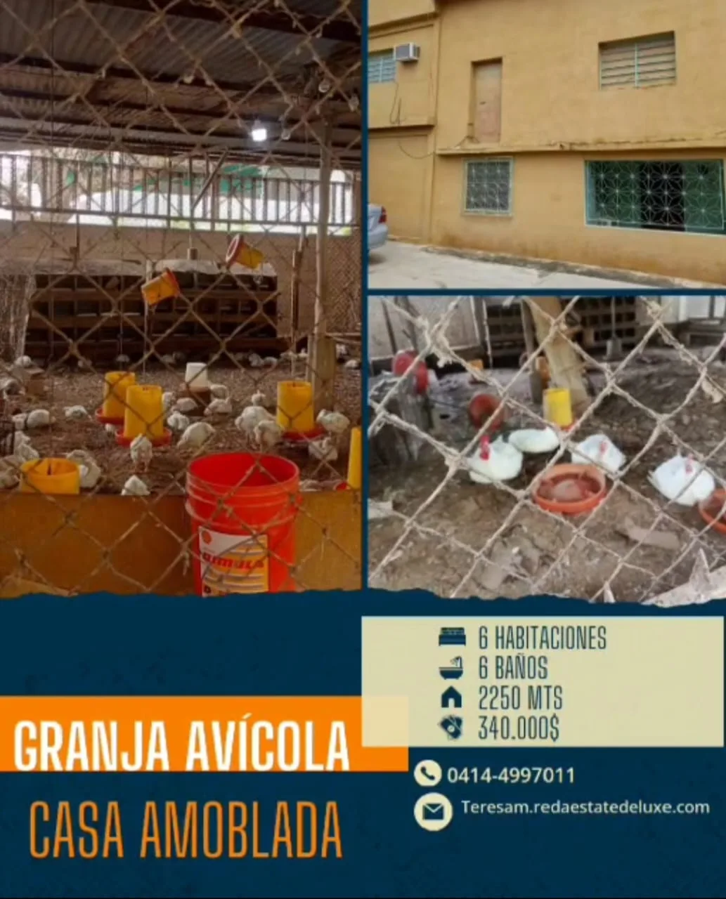 Terreno en Venta en Tocuyito, Municipio Libertador — 6 hab 2550m² — USD 340,000