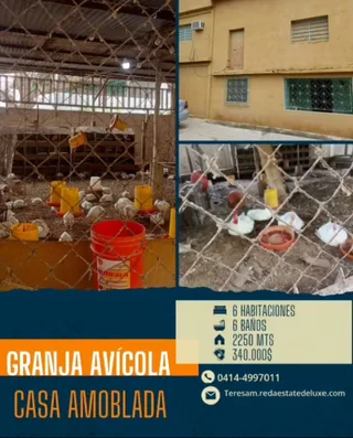 Terreno en Tocuyito, Municipio Libertador