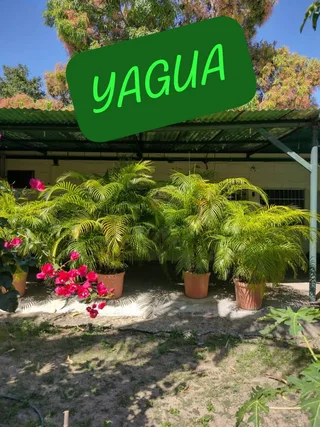 Terreno en Yagua, Sector Cardonal