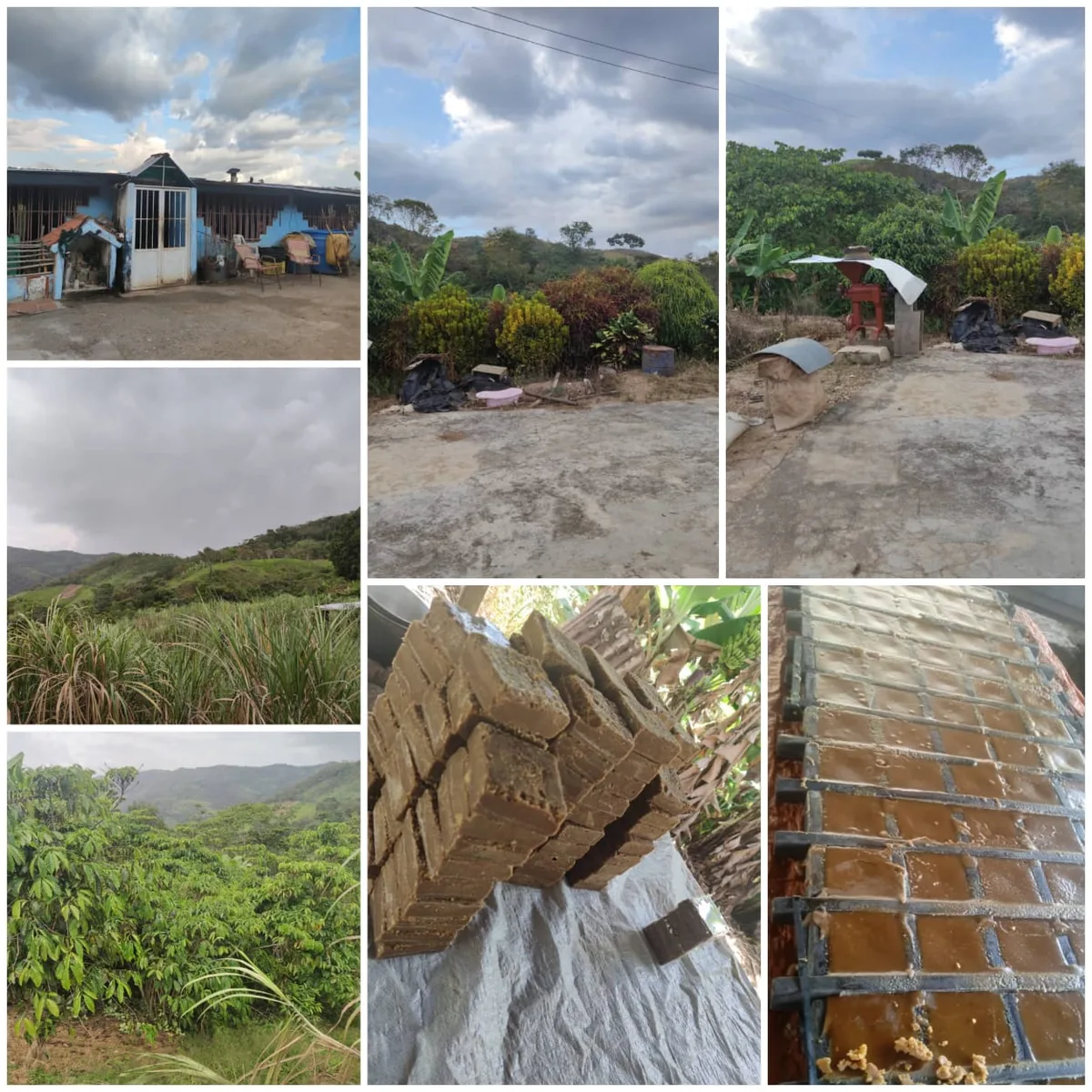 Terreno en Venta en Sector "Las Dos Bocas" (vía El Paito, Parroquia Miguel Peña) 32988m² — USD 57,000