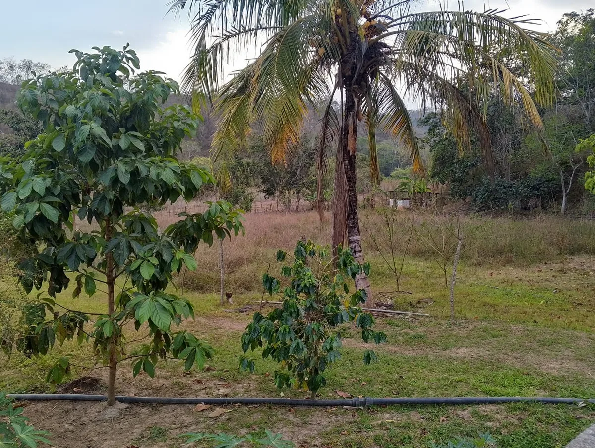 Terreno en Venta en Montalban, Estado Carabobo — 2 hab 1050000m² — USD 220,000