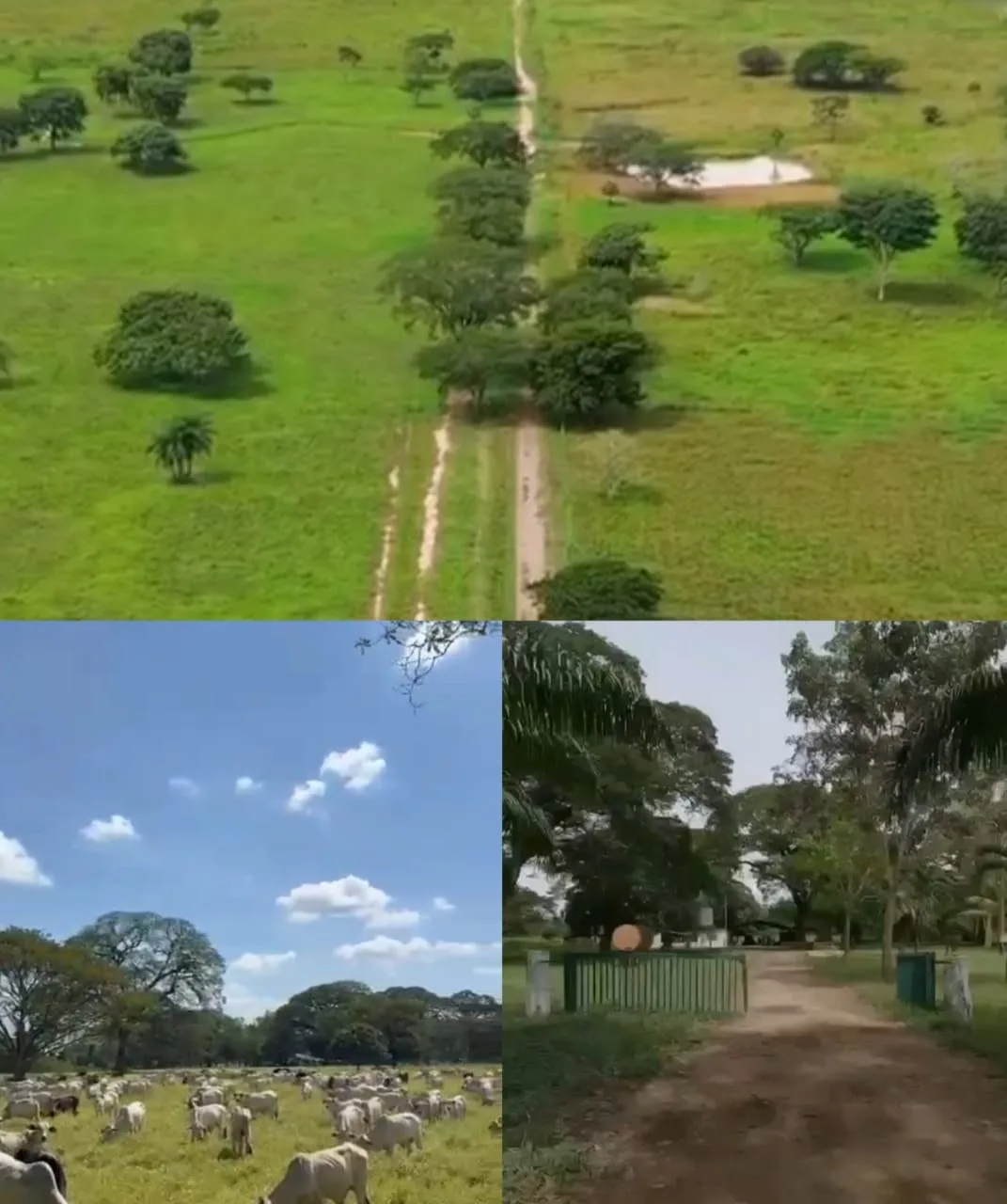 Terreno en Venta en Ospino estado Portuguesa 14000000m² — Precio a consultar