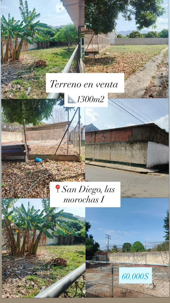 Terreno en Venta en Las Morochas, San Diego 1300m² — USD 60,000