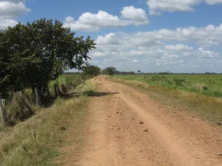 Terreno en Cojedes y Portuguesa