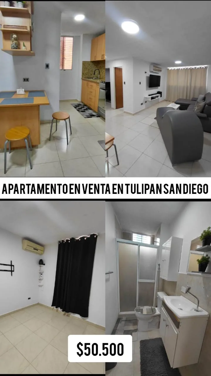 Apartamento en Venta en Tulipán — 2 hab — USD 50,500