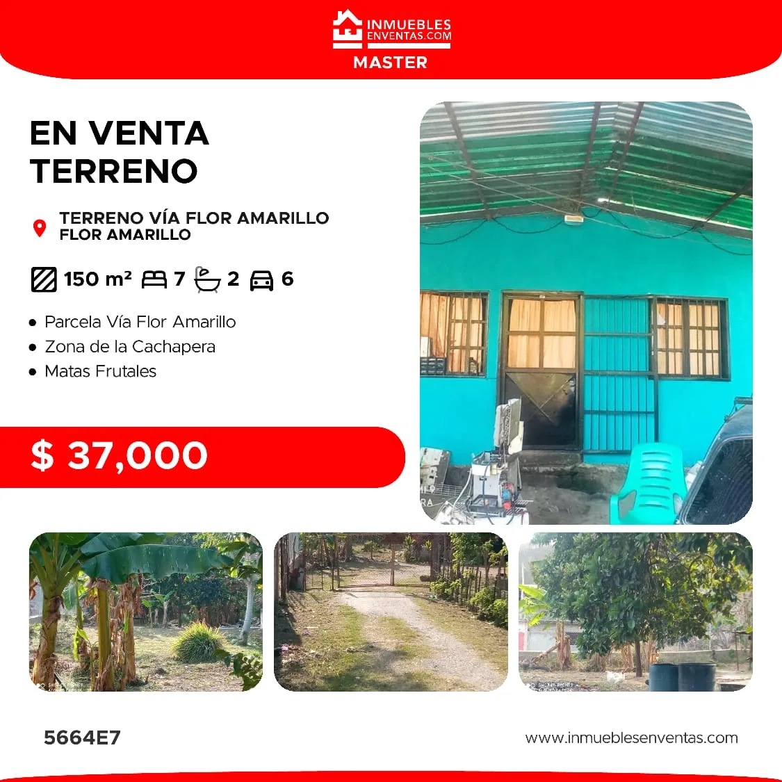 Terreno — foto 2