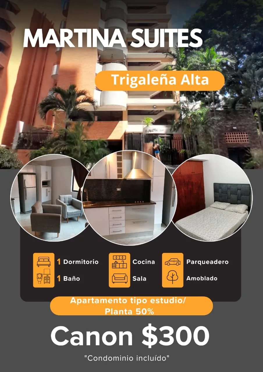 Apartamento en Alquiler en Trigaleña Alta — 1 hab — USD 300