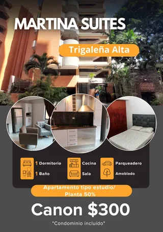 Apartamento en Trigaleña Alta