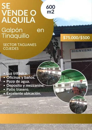Galpón en SECTOR TAGUANES, Tinaquillo