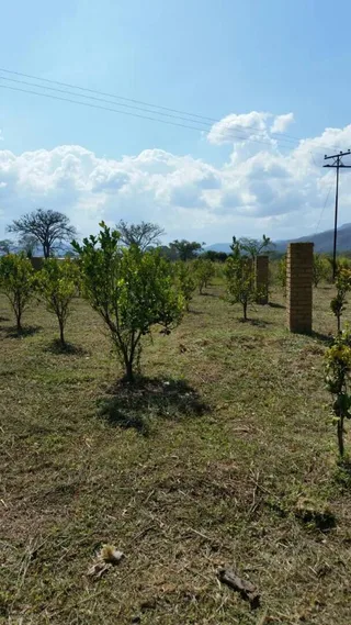 Terreno en montalbán estado carabobo