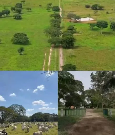 Terreno en Venta en Ospino, Estado Portuguesa 14000000m² — Precio a consultar