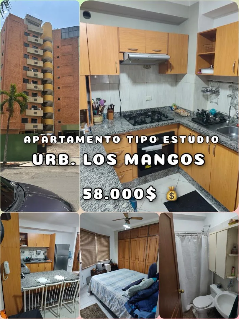 Apartamento en Venta en Apartamento tipo estudio — 1 hab 55m² — USD 58,000