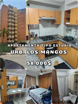 Apartamento en Apartamento tipo estudio