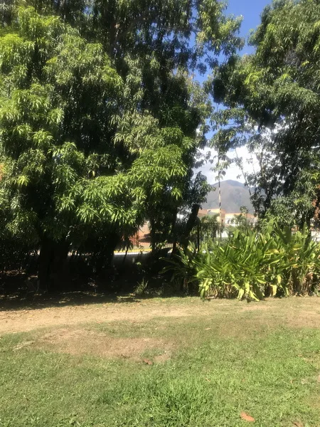 Casa — foto 5